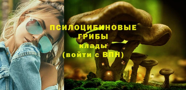 кокаин премиум Каменск-Шахтинский