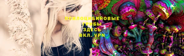 spice Каменногорск