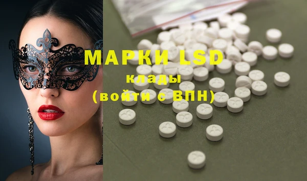 spice Каменногорск